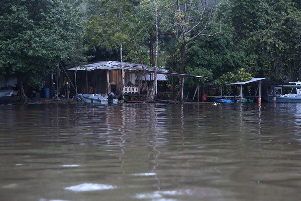 Im Tortuguero National Park