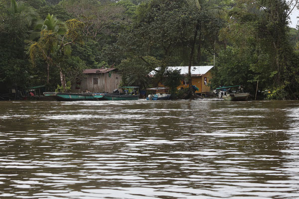 Im Tortuguero National Park