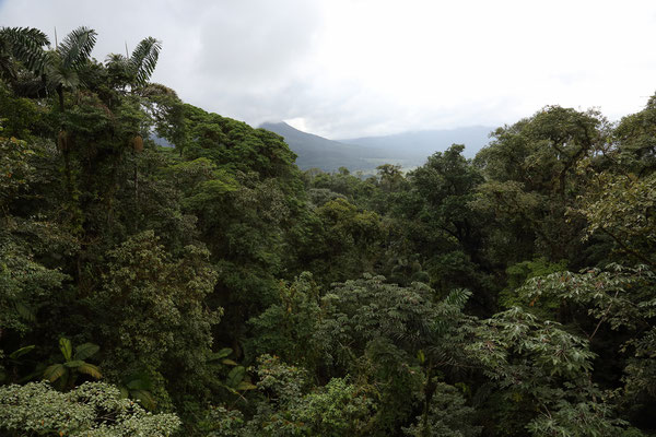 Umgebung von La Fortuna