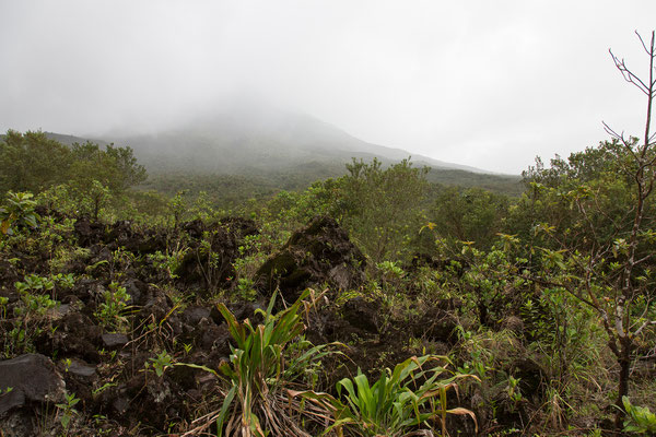 Wanderung am Vulkan Arenal