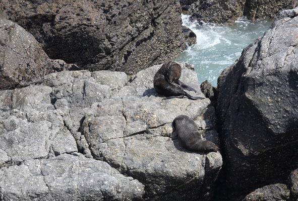 Cape Foulwind