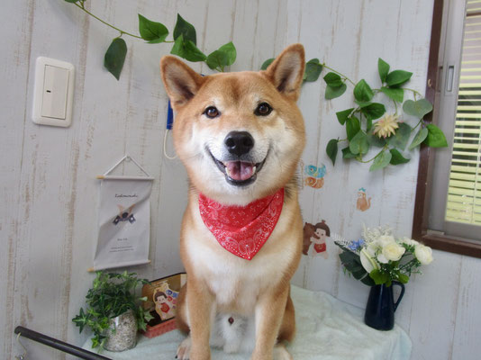 はちくん