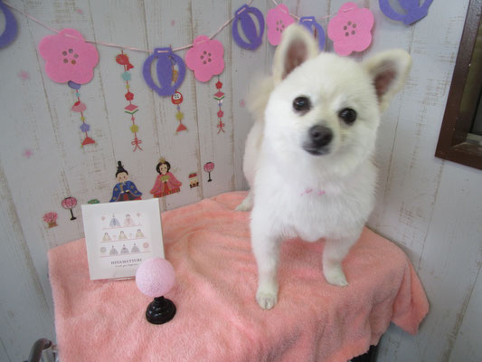 チロちゃん