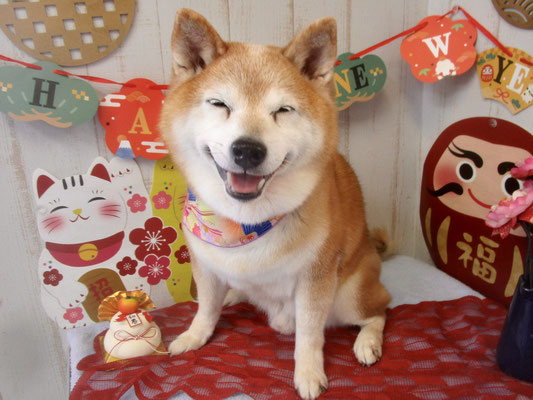 ころすけくん