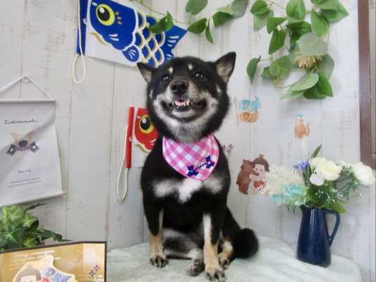 はなちゃん