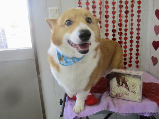 れおんくん