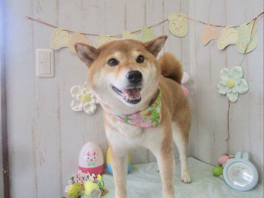 あぽちゃん