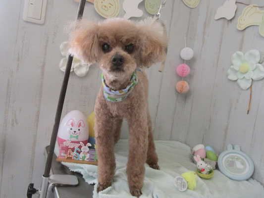 TAKAHIROくん