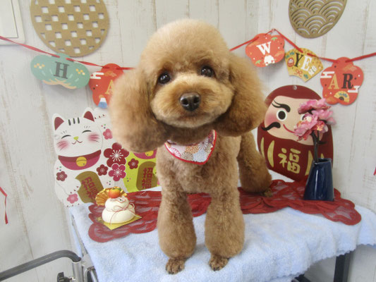 アンちゃん