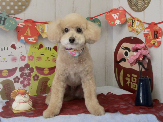 ふうすけくん