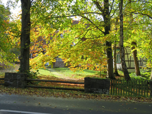 Ulrike Gose - "Herbst in Lünzen"