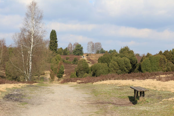 Helmuth Gose " Auf dem Weg nach Wilsede"