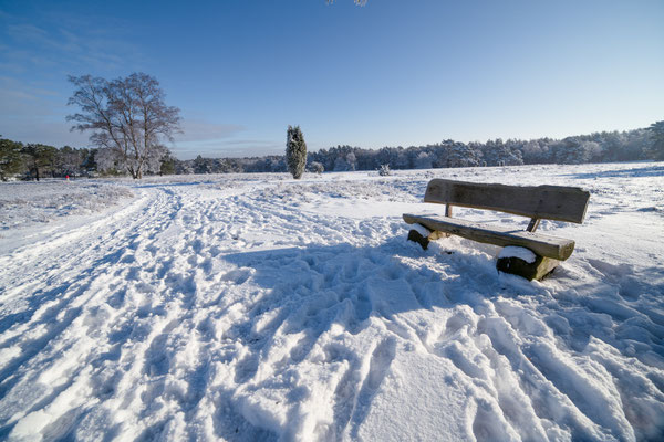 Michael Herde: Winterheide