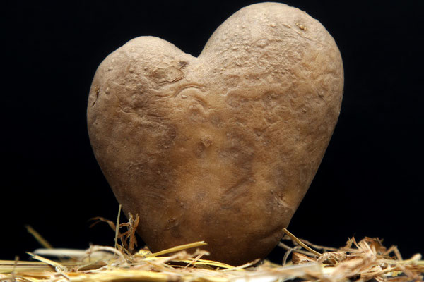 Lothar von Alm: Kartoffelherz