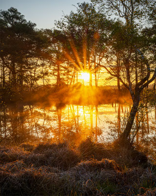 Sascha Zyballa: Pietzmoor Sonnenaufgang