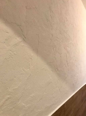 Wandbeschichtung mit Modellierputz... 