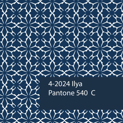 Design Ilya, one of our range of artisanal blockprint textiles, all created with care in Delhi, India.