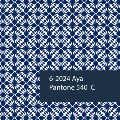 Explore blockprinting fabrics and more at our Delhi shop for tourists