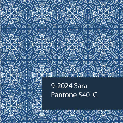  Explore the authenticity of Indian block print fabric from Delhi, India