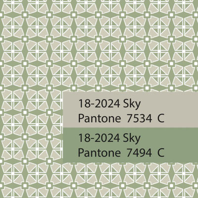 Indulge in the elegance of our premium blockprint fabrics.For men and women