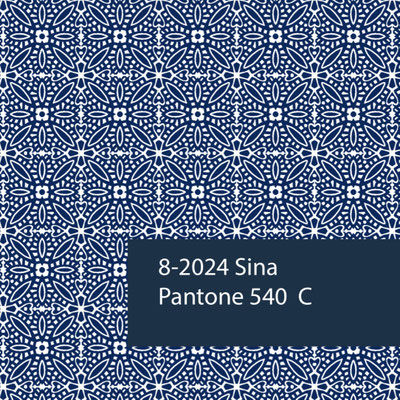 Explore our blockprinting shop in Delhi for unique fabric souvenirs.