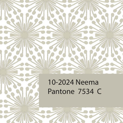 Visit our blockprinting shop in Delhi for a personalized fabric experience.