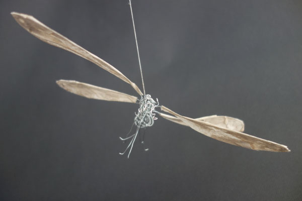 Libelle Draht und Papier