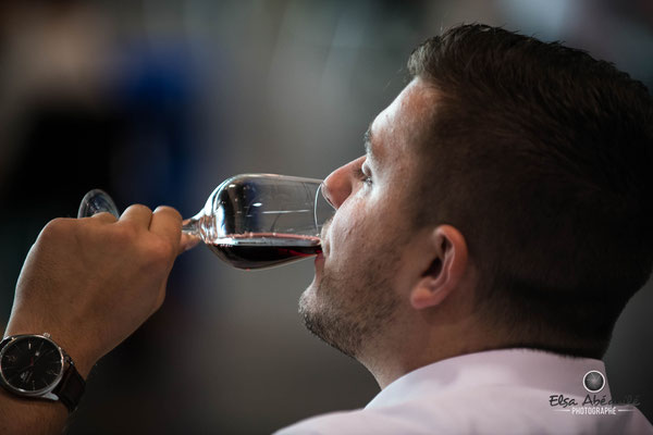 dégustation de vin