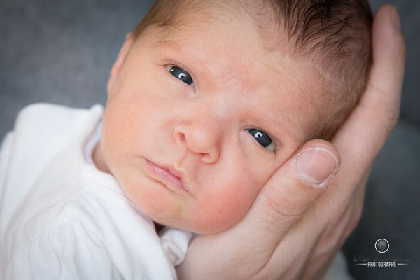 portrait de bébé