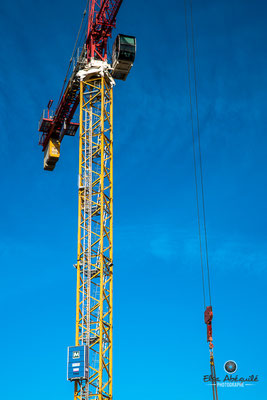 photo de grue