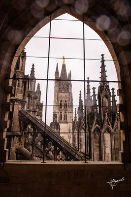 Cathédrale Pey Berland 