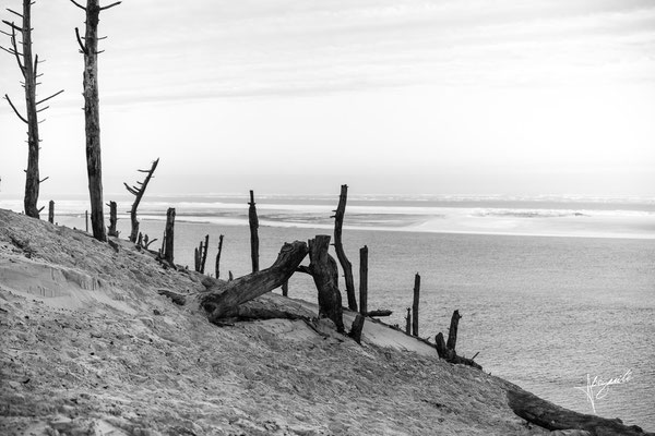 plage du Bassin d'Arcachon