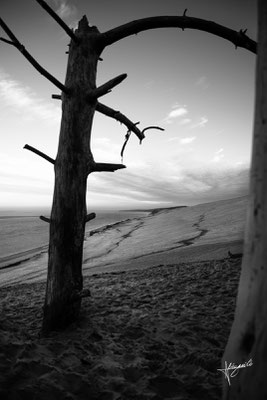 plage du Bassin d'Arcachon