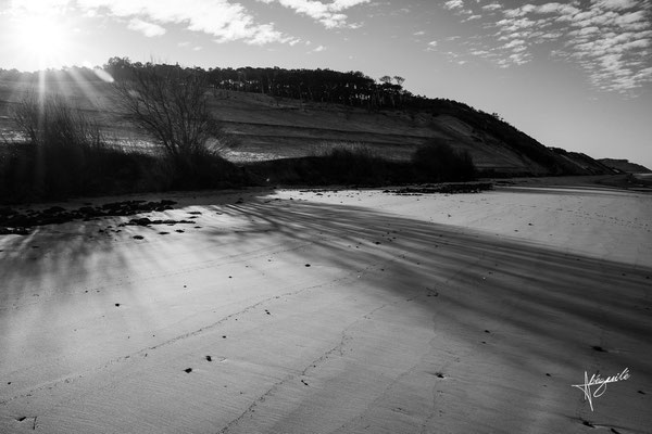 Dune du Pyla