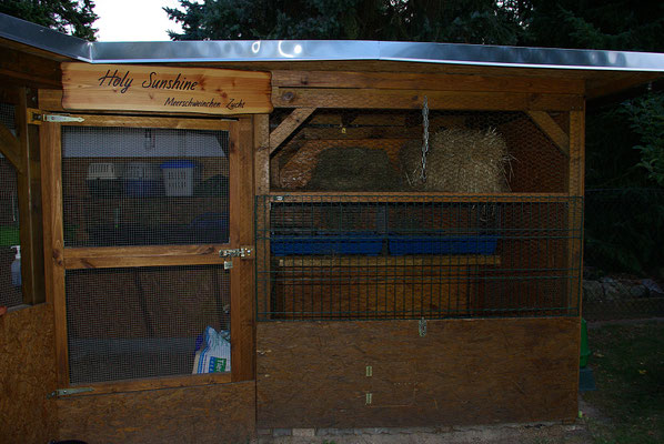 Haltung Meerschweinchenzucht Berlin