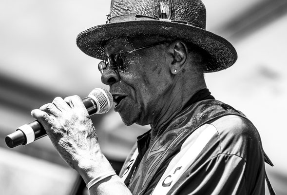 07.06.2019 - Chicago Blues Festival with Bob Stroger, pic by Sarah Kim Friedli