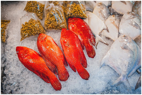 Rote Fische auf Eis - Marktszene in Asien