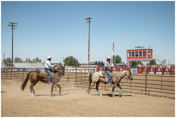 Staubiger Rodeo-Moment – Cowboy im Sattel eingefroren im Fokus.