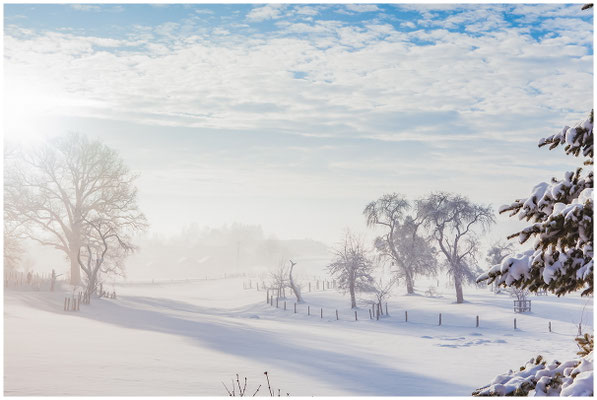 Winterlandschaft  in Bayern – Lichtstreif durch frostige Zweige.