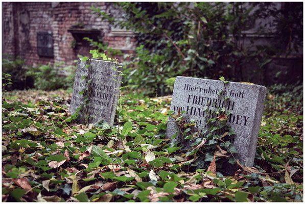 Berliner Friedhof im urbanen Raum – stille Insel der Erinnerung