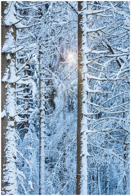 Winterlandschaft  in Bayern – Lichtstreif durch frostige Zweige.