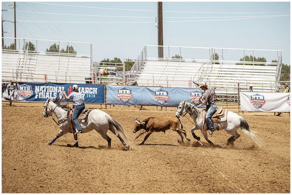 Arena-Action: Reiter im Galopp – Energie pur in Wyoming.