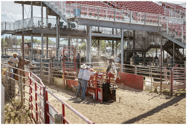Staubiger Rodeo-Moment – Cowboy im Sattel eingefroren im Fokus.