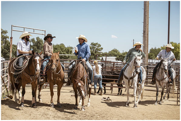 Hände am Sattel – Details, die Cowboy-Lifestyle erzählen.