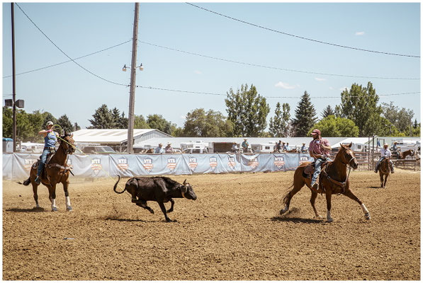 Arena-Action: Reiter im Galopp – Energie pur in Wyoming.
