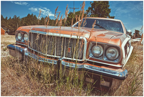 Verwittertes Blech im Sonnenlicht – automobile Nostalgie in Szene gesetzt.