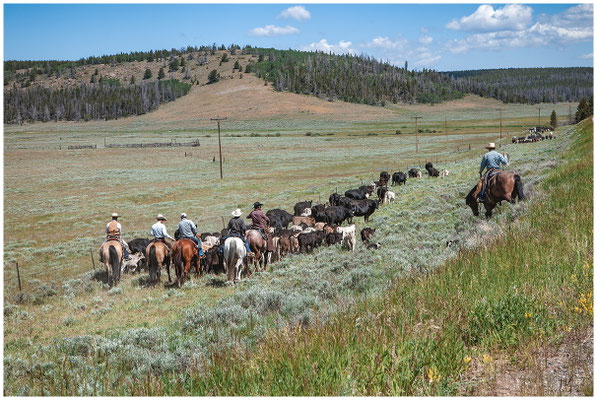 Cowboys in weiter Landschaft – Americana zwischen Mythos und Realität.