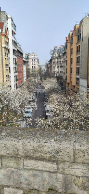 Blick von der Coulée verte