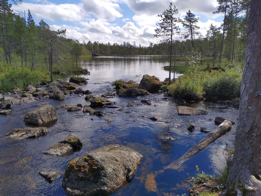 Finnische Landschaft bei Inari