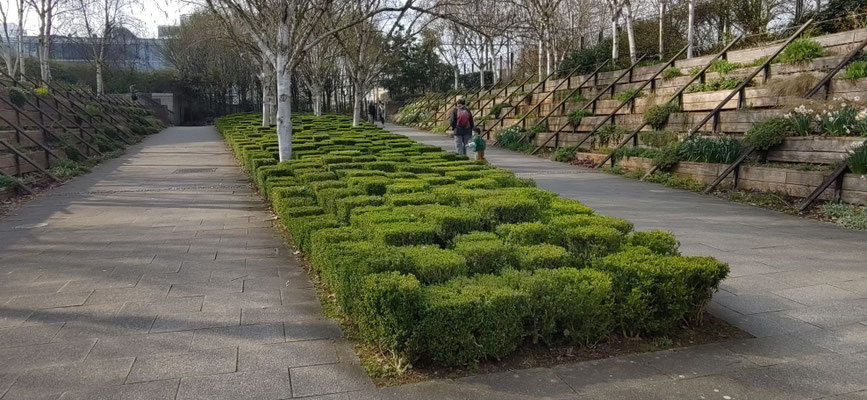 schöne Themengärten im Parc André Citroen